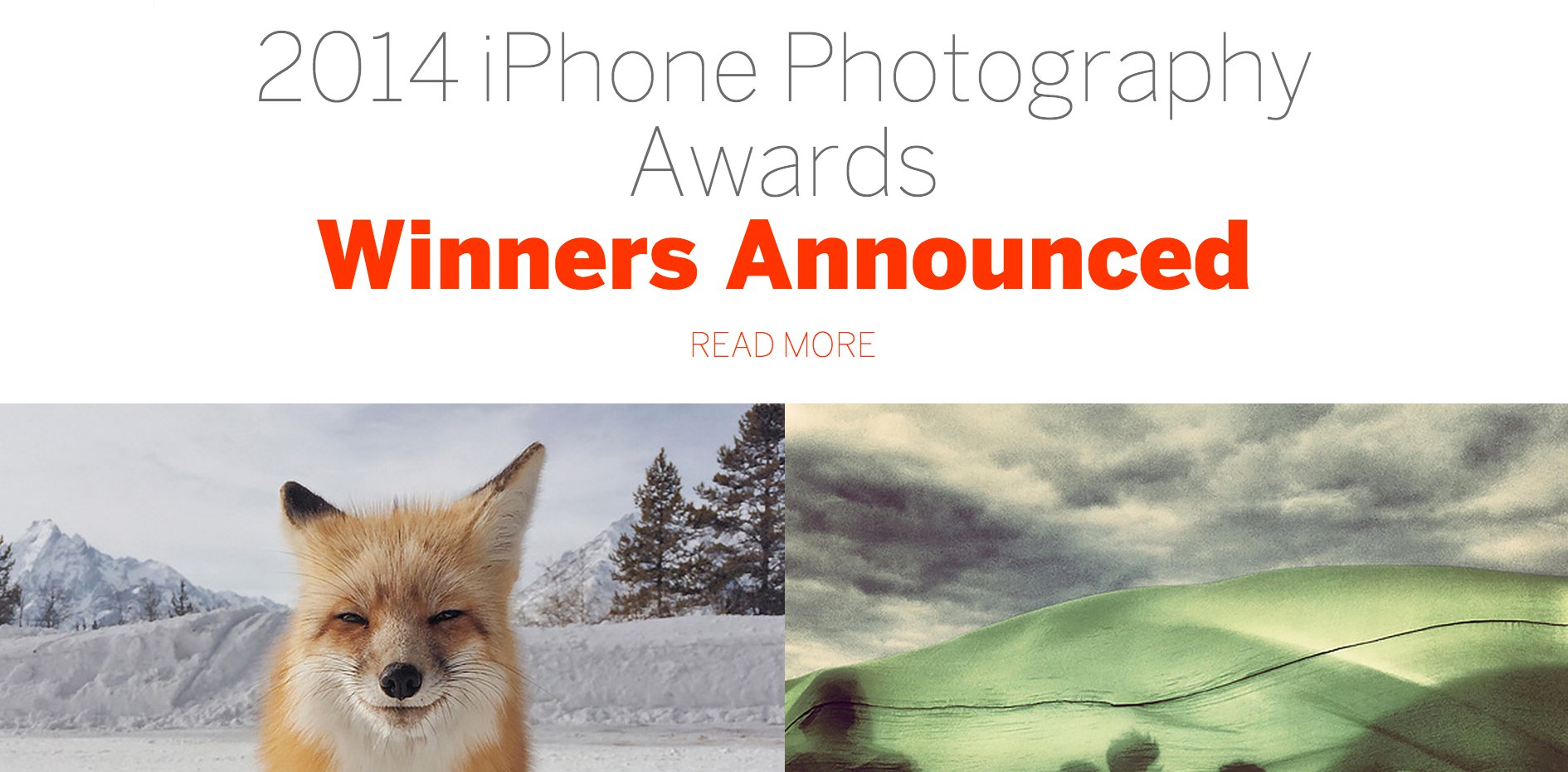 Tim Cook beglückwünscht iPhone Photo Awards Gewinner 2014 13