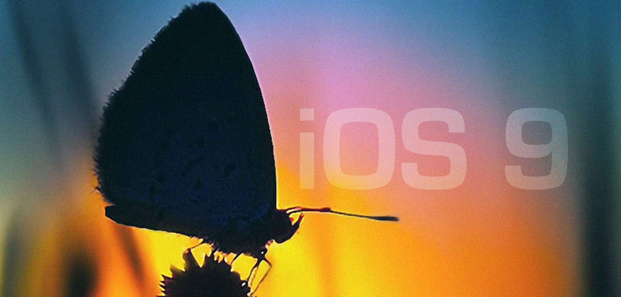 UPDATE: iOS 9 beta 4 & watchOS 2 beta 4 als Download erhältlich 1