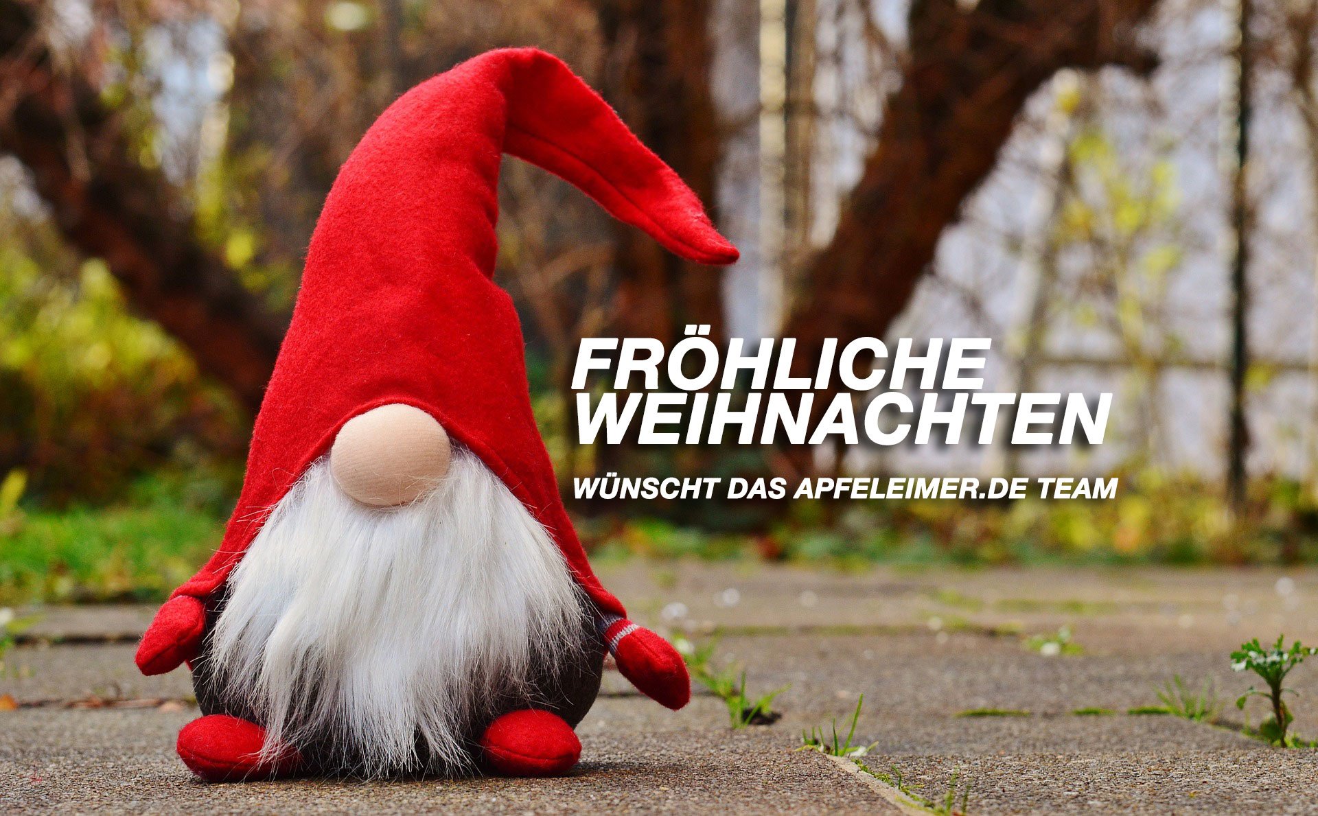 Frohe Weihnachten 2015 wünscht apfeleimer.de 1