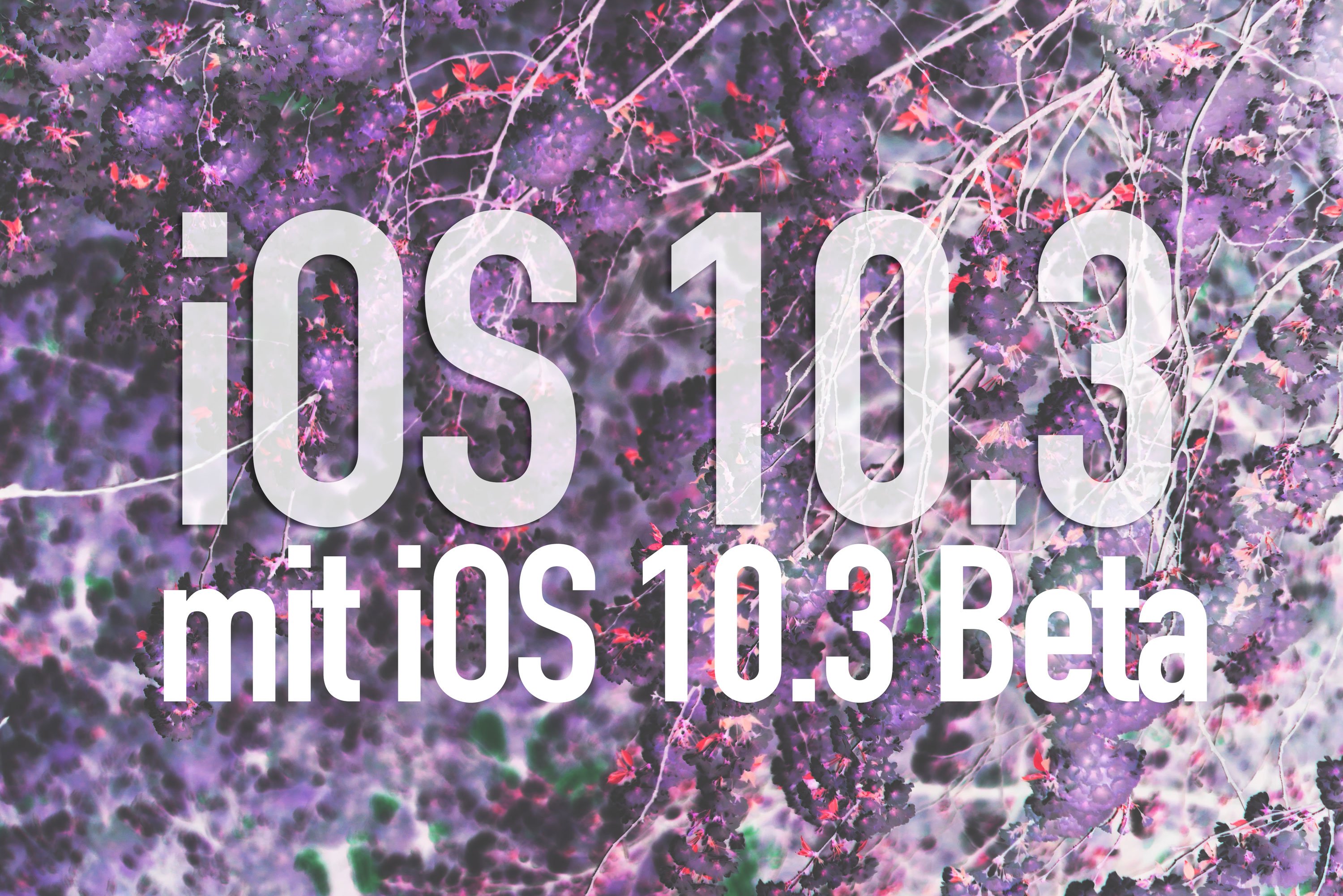 Kein iOS 10.3 Update für iOS 10.3 Beta Nutzer? 2