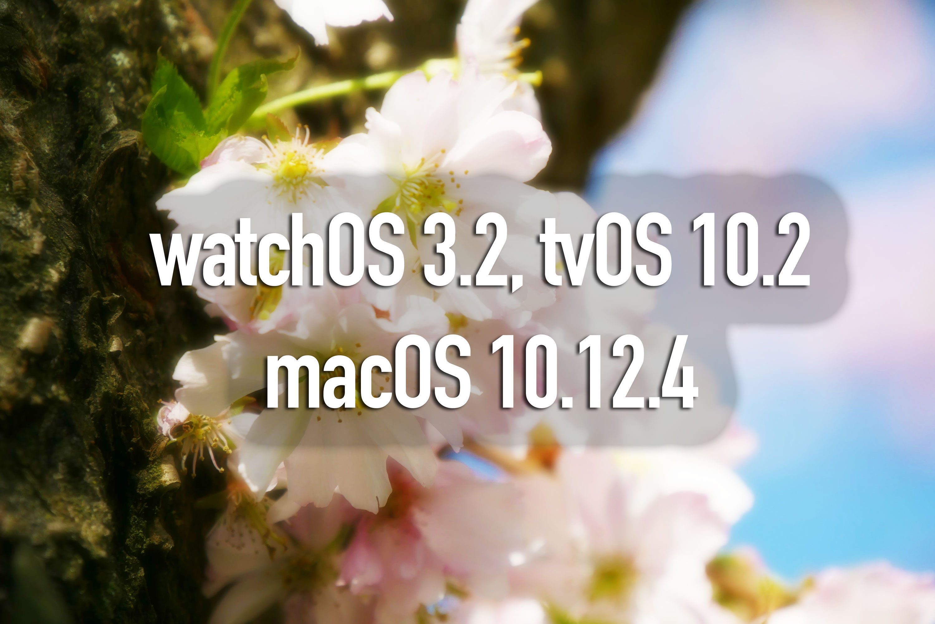 macOS 10.12.4, watchOS 3.2 und tvOS 10.2 veröffentlicht 3